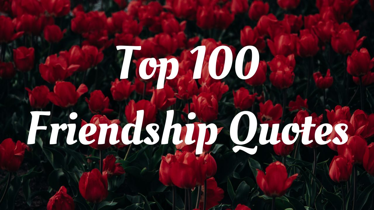 Top 100 Friendship Quotes