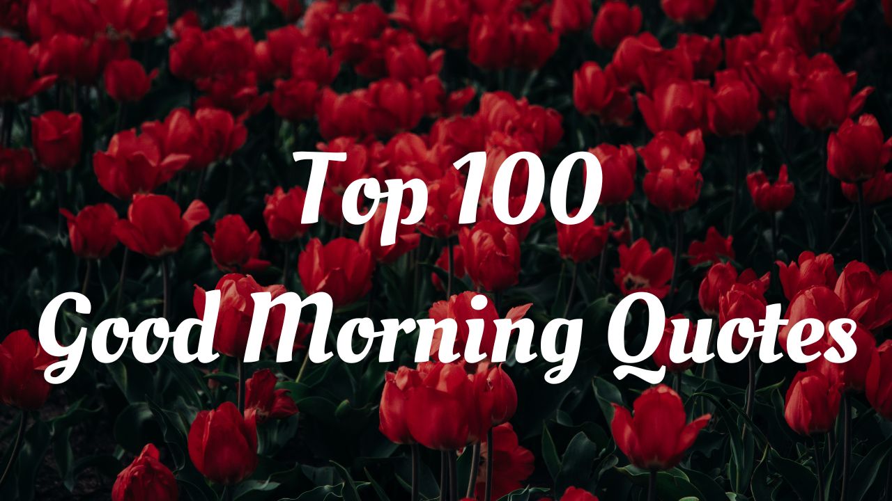 Top 100 Good Morning Quotes